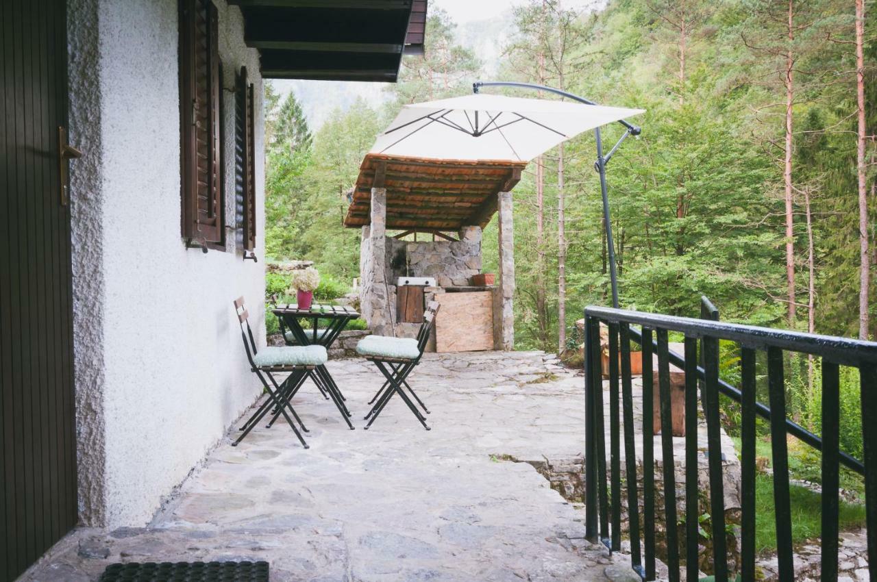 Naturalina Holiday House Gorenja Trebusa 外观 照片
