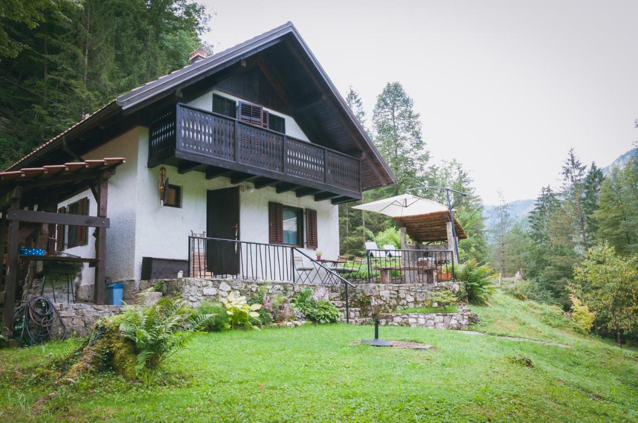 Naturalina Holiday House Gorenja Trebusa 外观 照片
