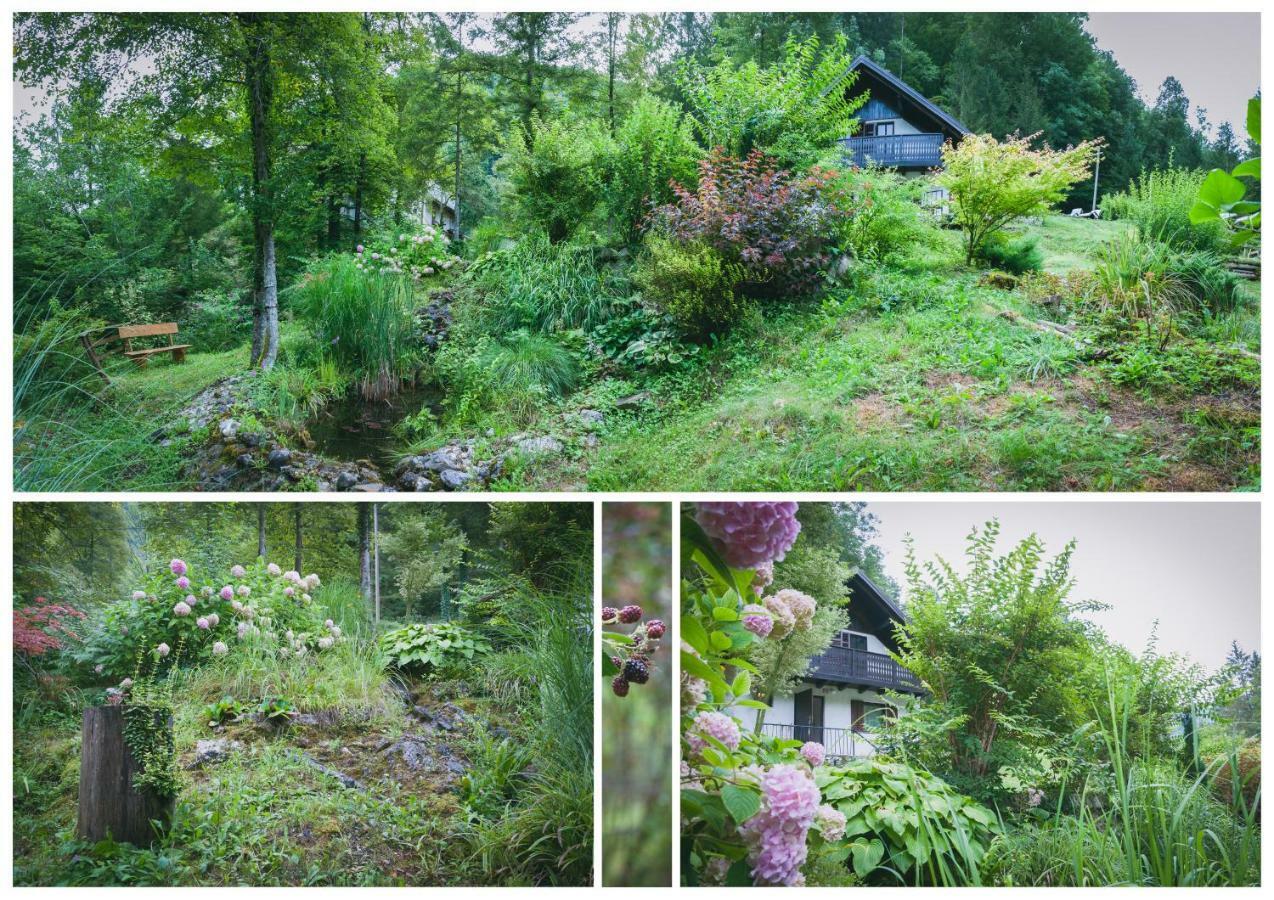Naturalina Holiday House Gorenja Trebusa 外观 照片